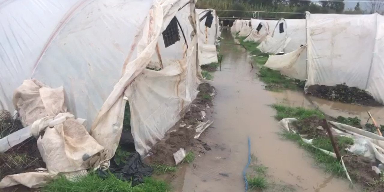 Antalya’da Çilek Seraları Sular Altında Kaldı