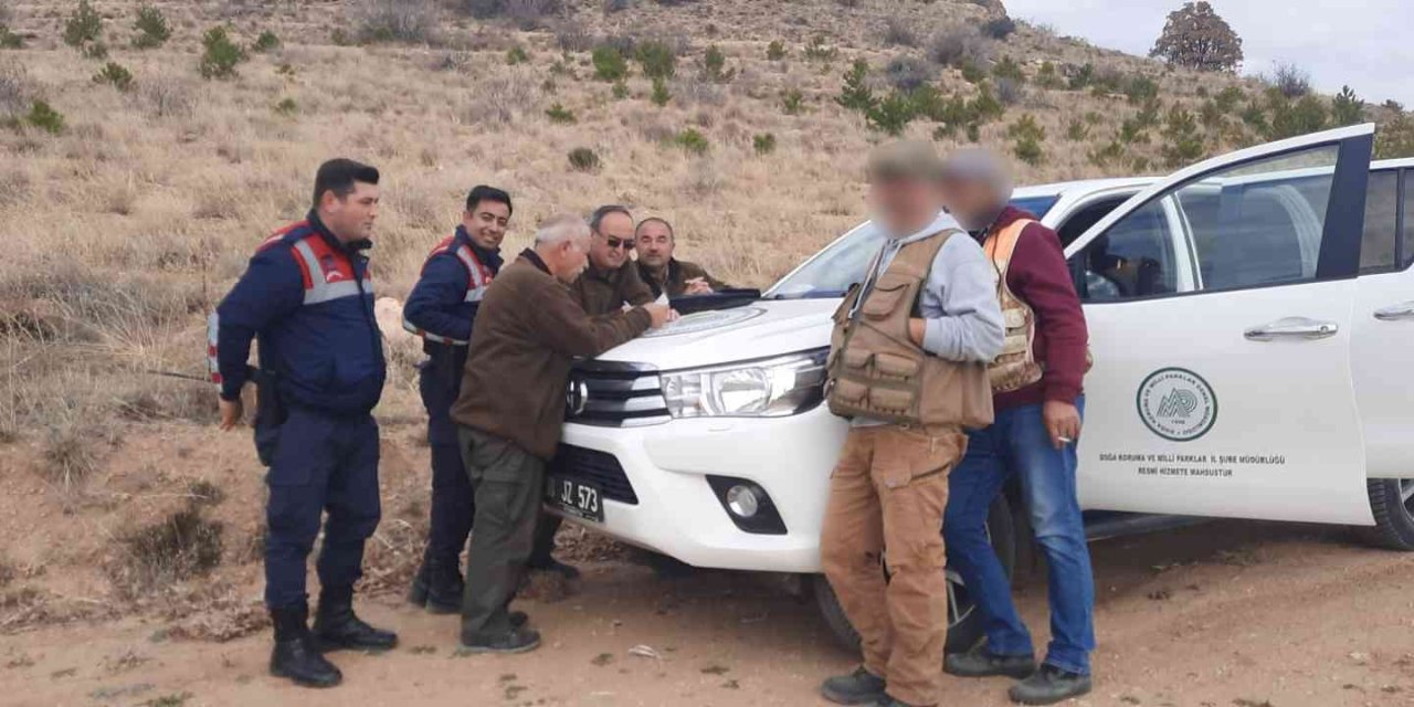 Yasa Dışı Ava Suçüstü