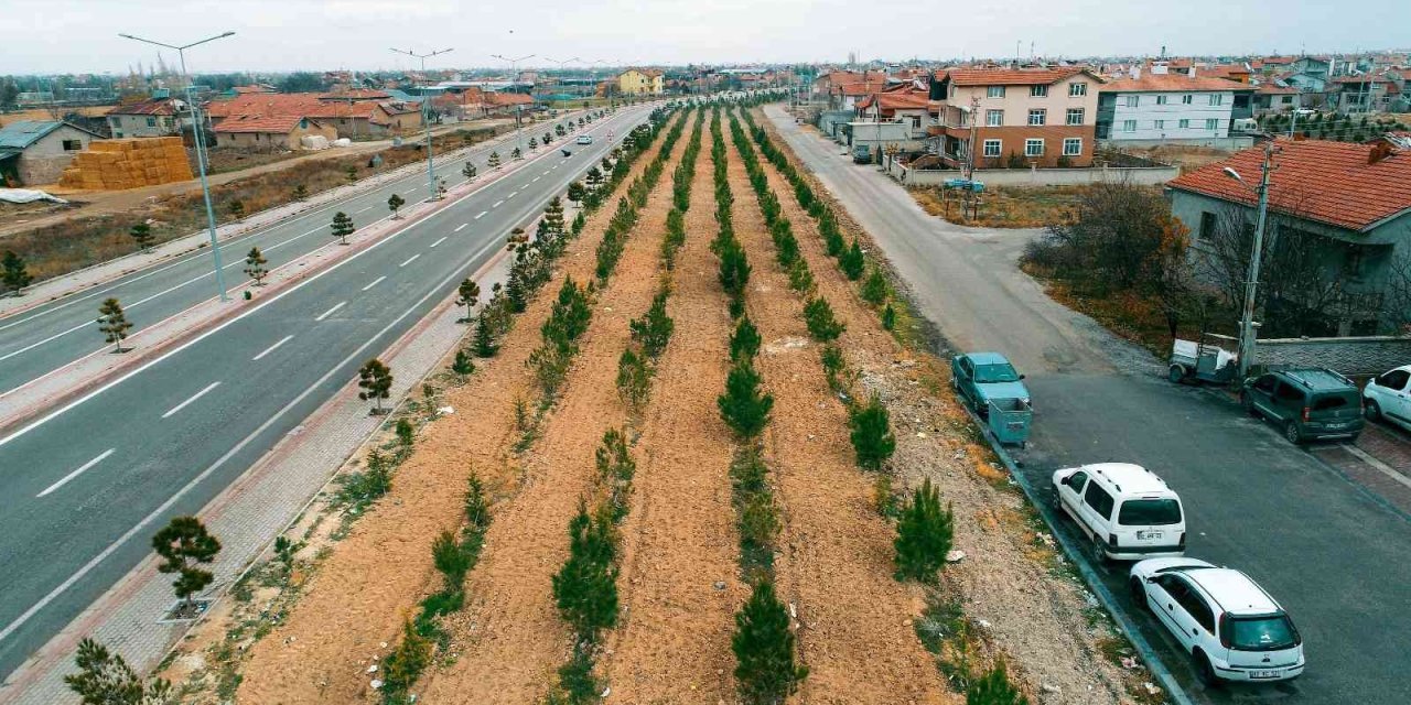 Başkan Kavuş: “meram’ın Yeşil Dokusu Eski İhtişamlı Günlerine Kavuşana Kadar Durmak Yok”