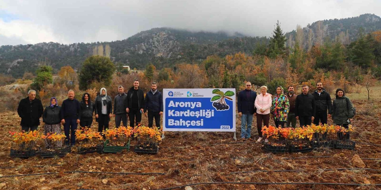 Antalya İle İzmit’in “aronya” Kardeşliği