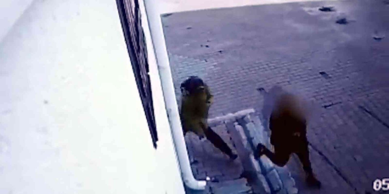 Ev Fareleri Yakalandı