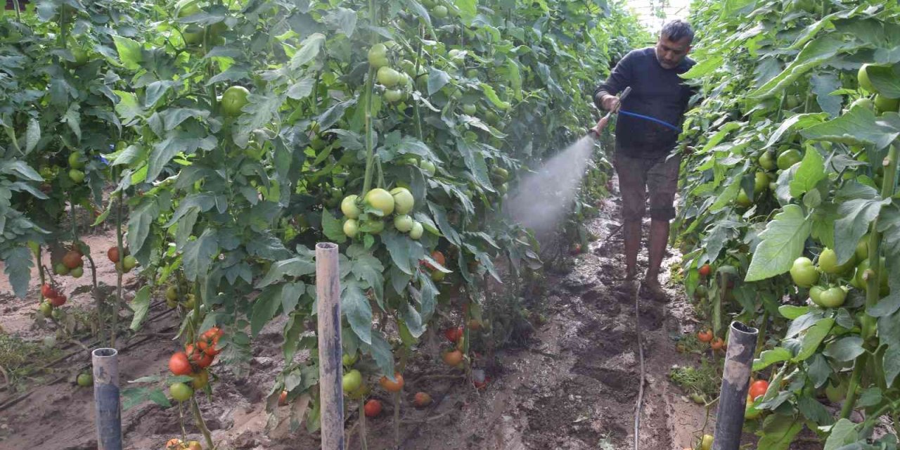 Kumluca’da Çamur İçinde Üretim