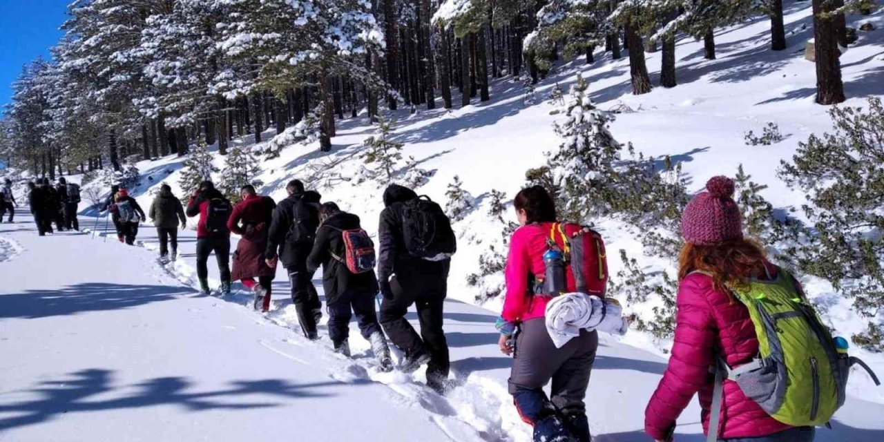 Çatacık Ormanları Ekoturizme Açılıyor