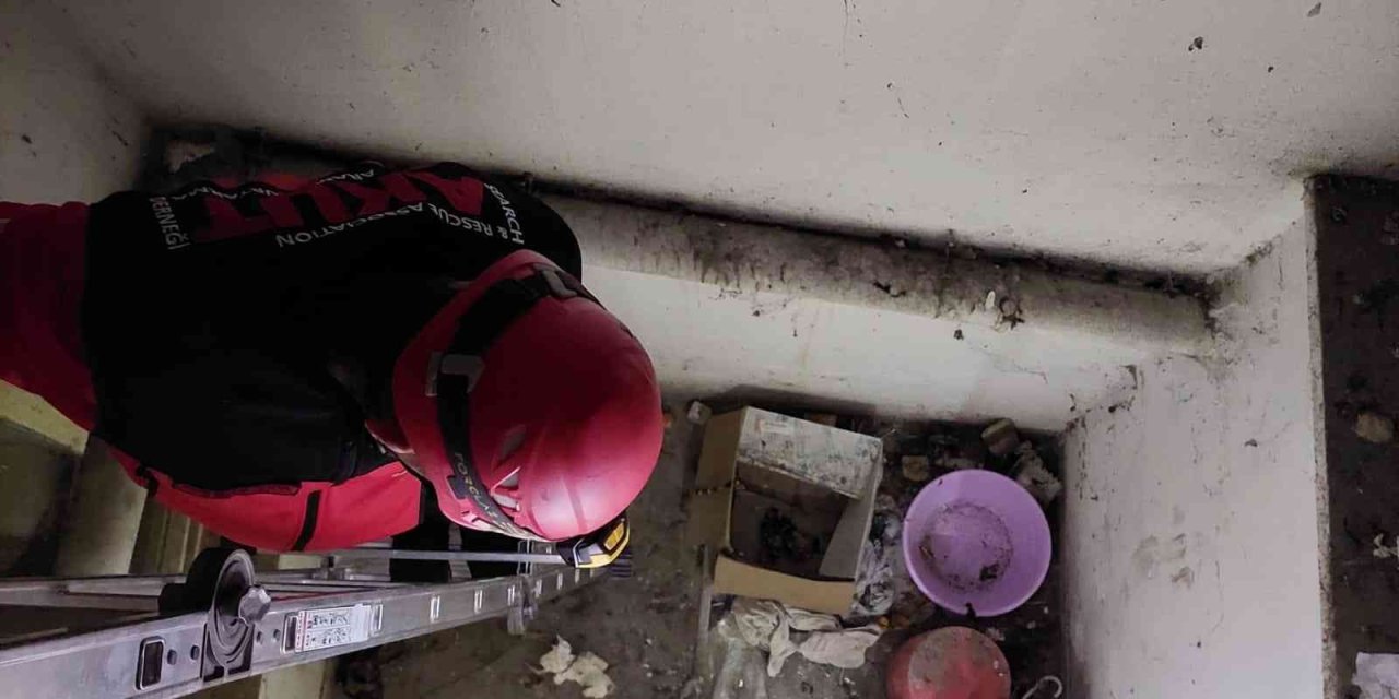 Havalandırma Boşluğunda Mahsur Kalan Kedi Akut Gönüllüleri Tarafından Kurtardı