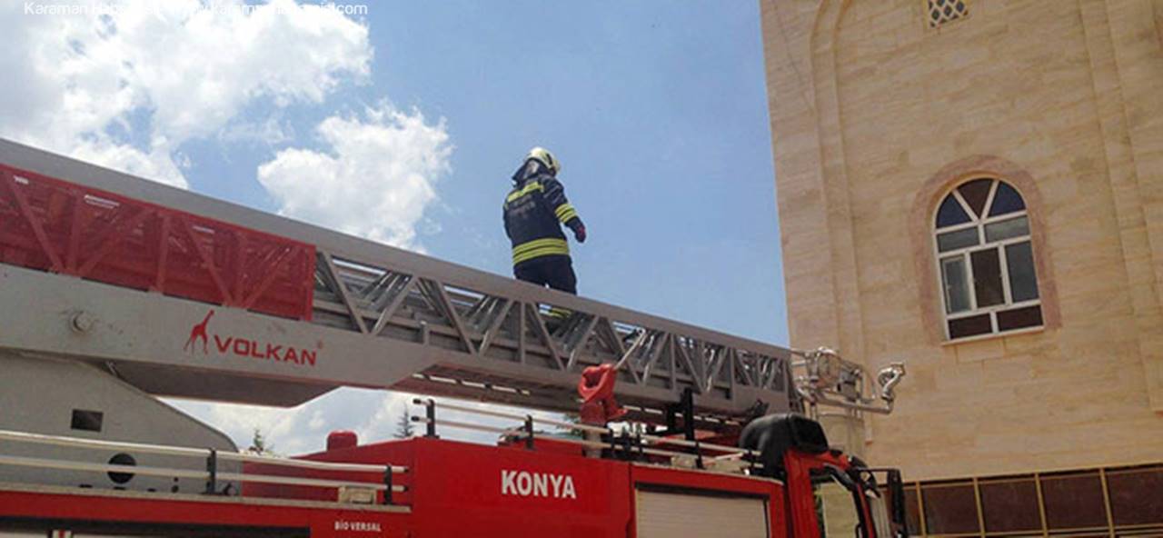 Yuvadan Düşen Yavru Leyleği Kurtarma Operasyonu