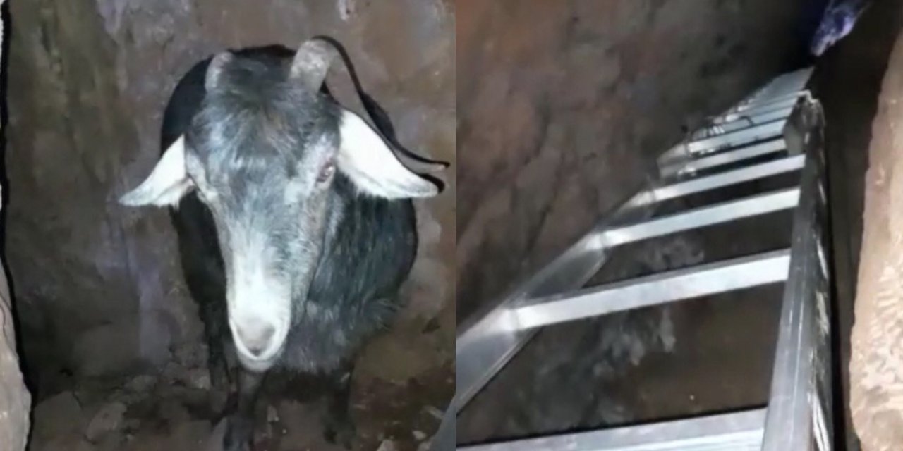 Mağarada Keçi Kurtarma Operasyonu