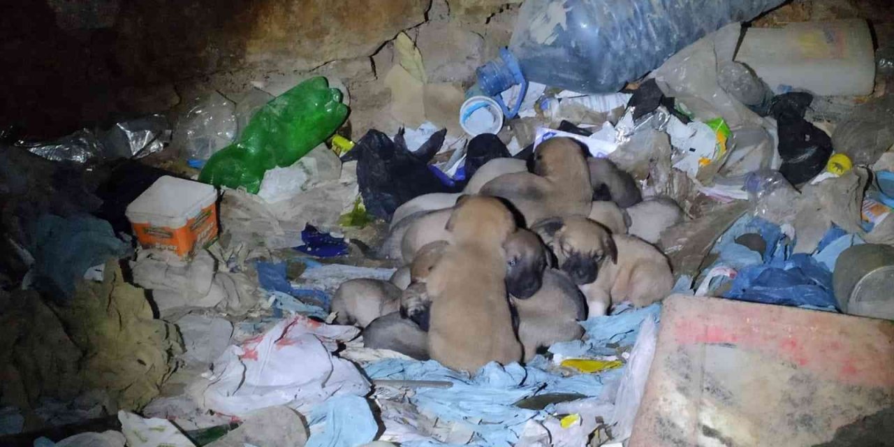 Eskişehir’de Vicdanları Hem Sızlatan Hem De Isıtan Olay