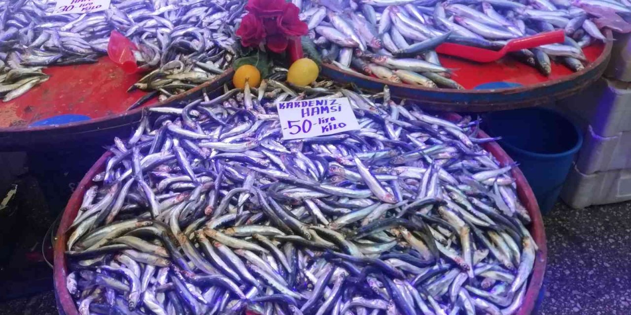 Hamsi Fiyatlarında Yüzde 50’ye Varan Düşüş