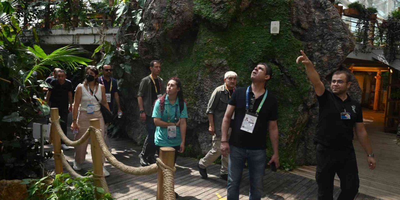 Tropikal Kelebek Bahçesi 596 Bin 388 Ziyaretçi Sayısına Ulaştı