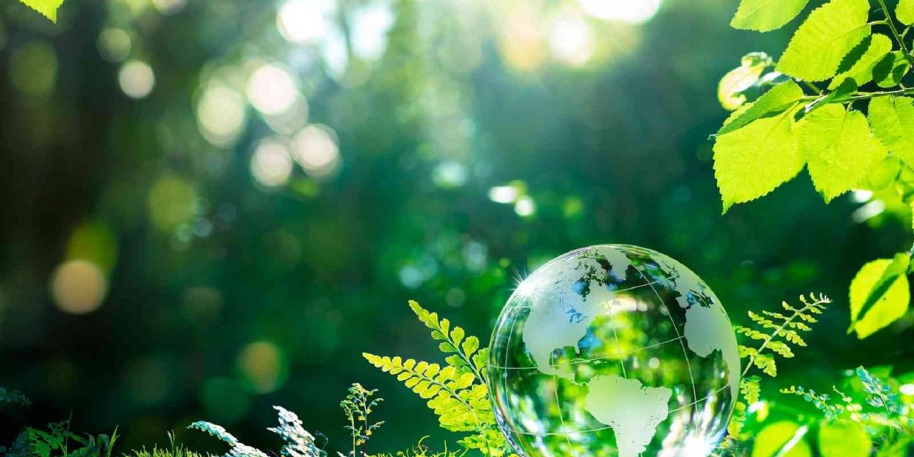 Karbon Ayak İzimizi Azaltma Çalışmaları