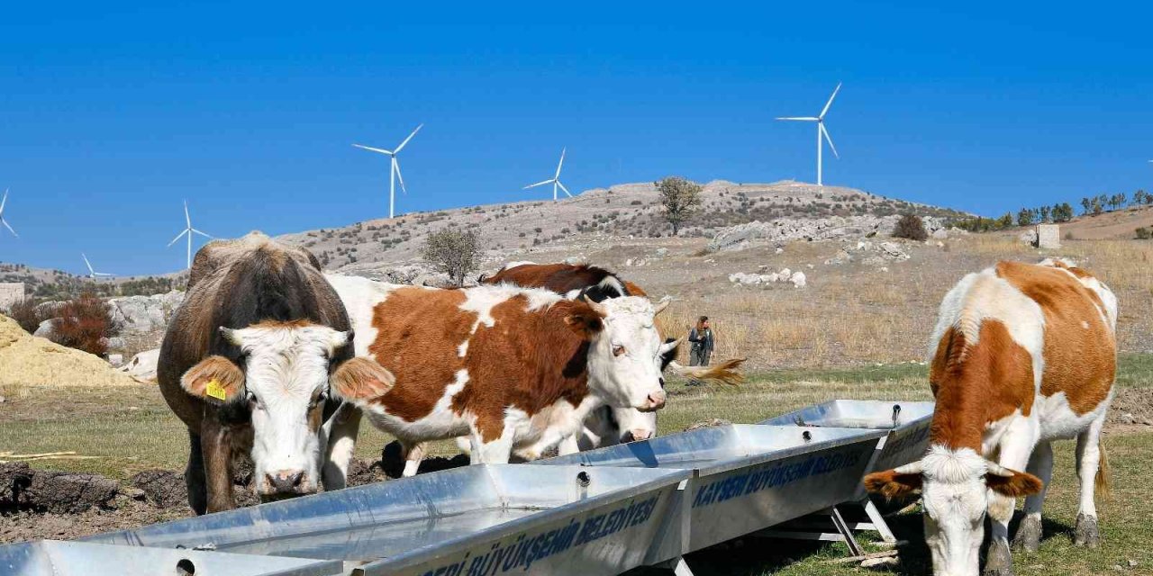 Başkan Büyükkılıç’tan Tarım Ve Hayvancılığa 100 Milyon Tl’nin Üzerinde Yatırım