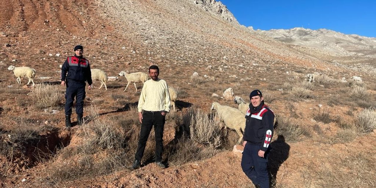 Kayıp Koyunlar Bulundu
