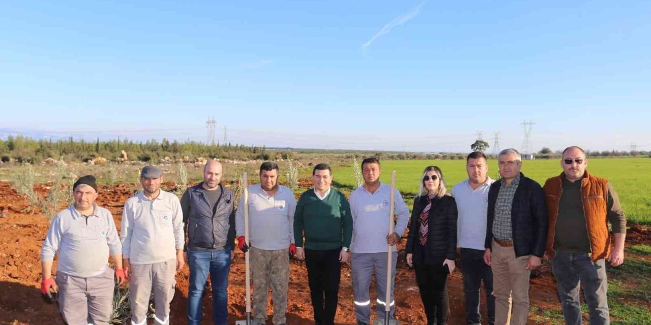 Antalya'da Zeytin Çiftliğinden Elde Edilecek Gelirin Tamamı 35 Bin Öğrenciye Burs Olacak