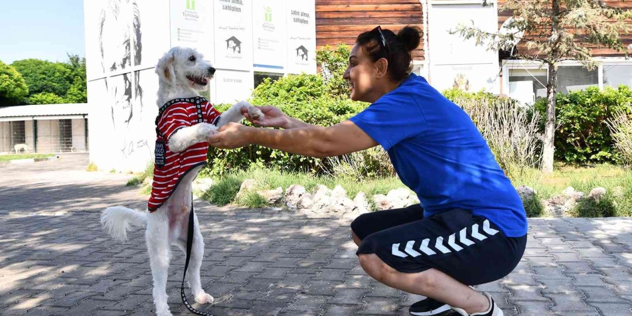 503 Canın Daha Sıcak Bir Yuvası Oldu