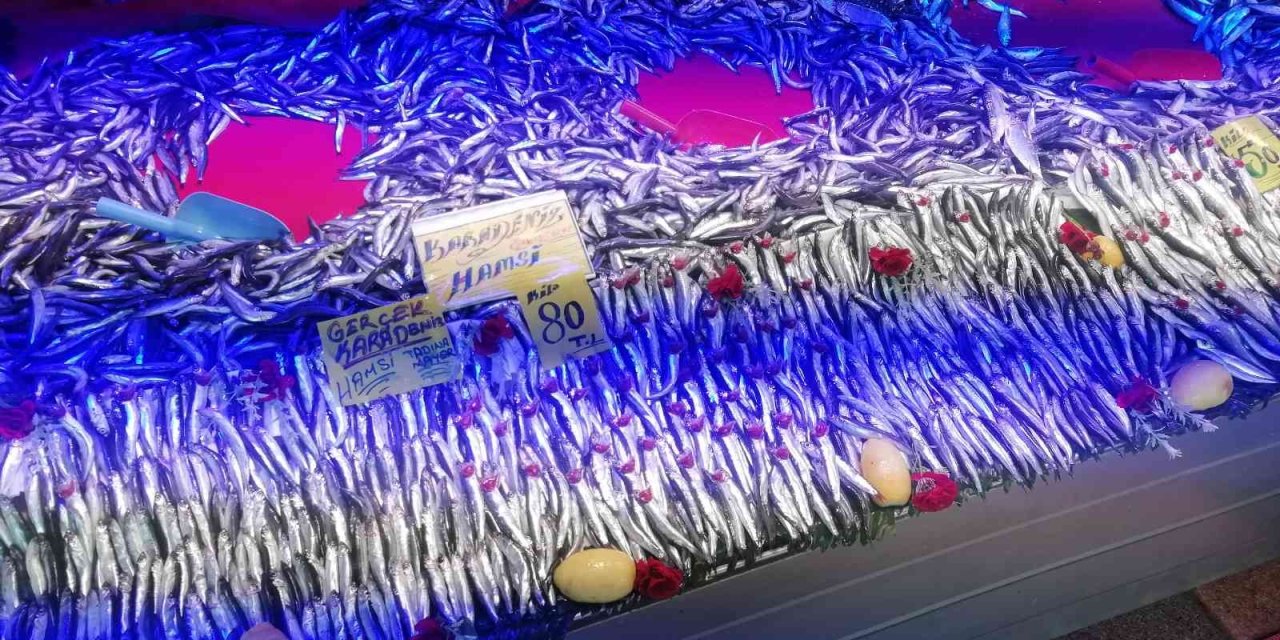 Ucuzlayan Hamsinin Fiyatı Tekrar Yükseldi