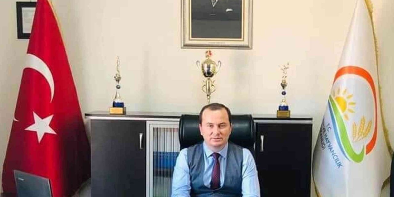 Zeytinde Hasat Sona Erdi, Üreticinin Yüzü Güldü