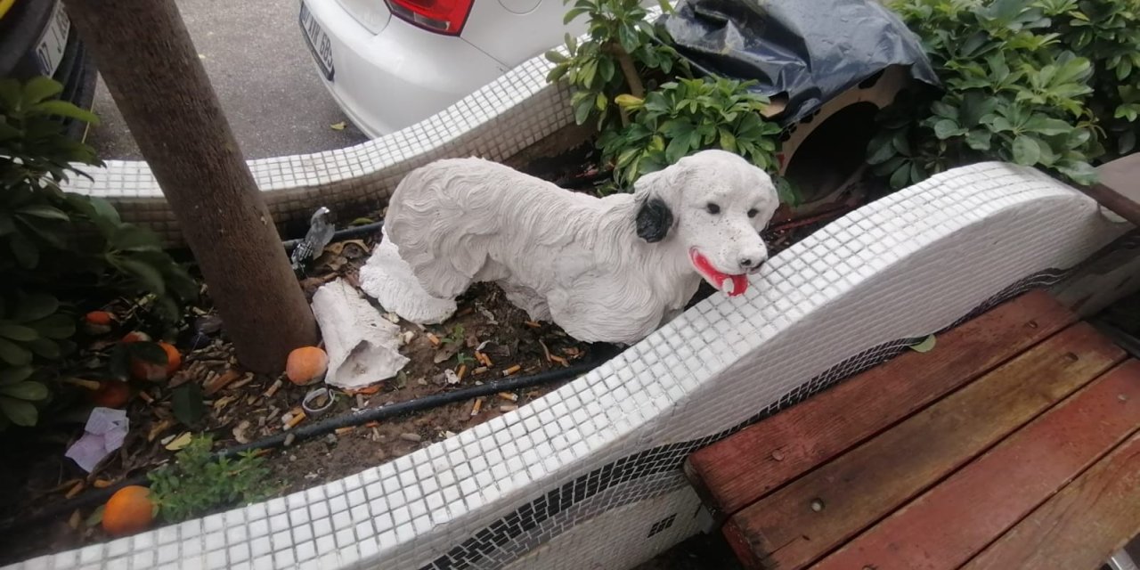 İş Yerinin Önündeki 25 Liralık Köpek Maketlerini Çaldılar