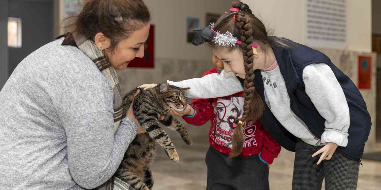 Minik Ela’ya ’kedi Evi’ Sürprizi