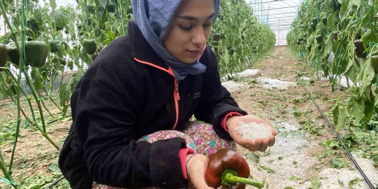 Aksu’da Fırtına Ve Dolu Sebebiyle 95 Dekar Sera Alanı Zarar Gördü