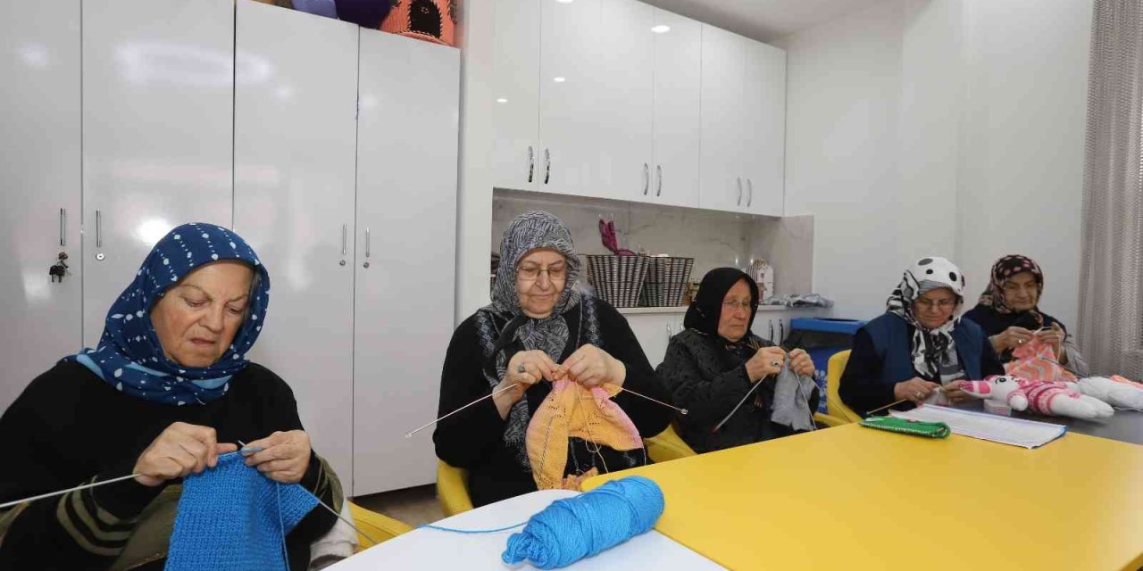 Büyükşehirin Merkezi, Ulu Çınarların İkinci Yuvası Oldu