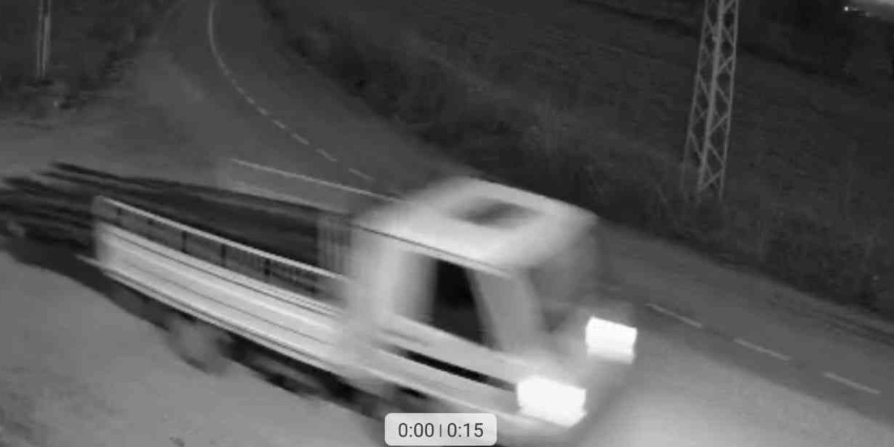 Suçlular Önce Foto Kapana, Sonra Jandarmaya Yakalandı