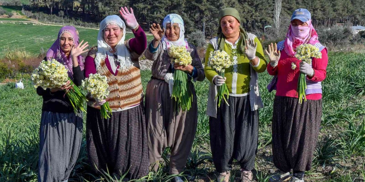 Mersin’de Nergis Festivali Düzenlenecek