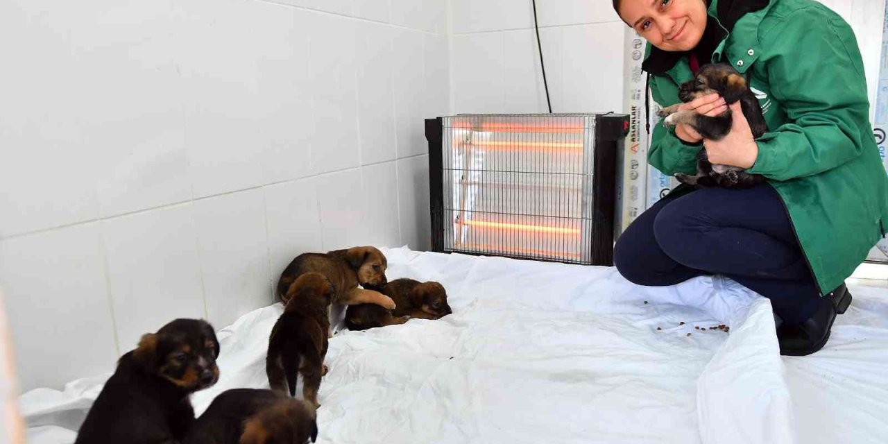 Mersin’de Bin 100 Patili Dosta Sıcak Yuva Sağlandı