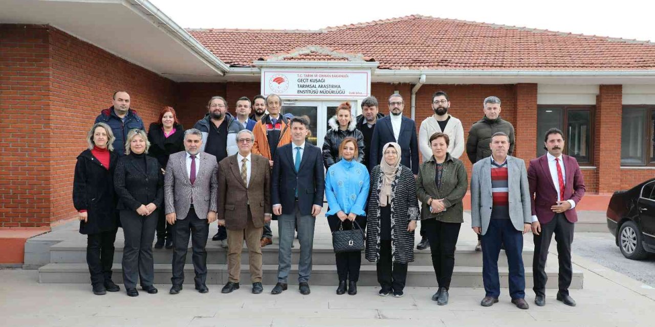 Eskişehir’de Geliştirilen Aspir Çeşitleri Çiftçi İle Buluşuyor