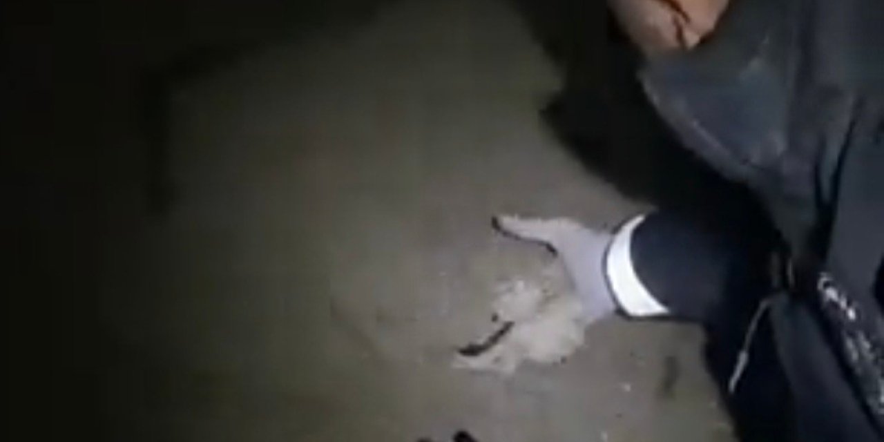 Çaldığı Silahı Toprağa Gömmüş, Paraları Odunluğa Saklamış