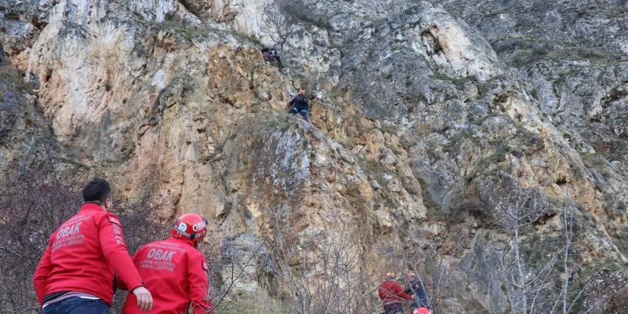 Dağlık Alanda Mahsur Kalan Köpek Arama Kurtarma Ekiplerince Kurtarıldı