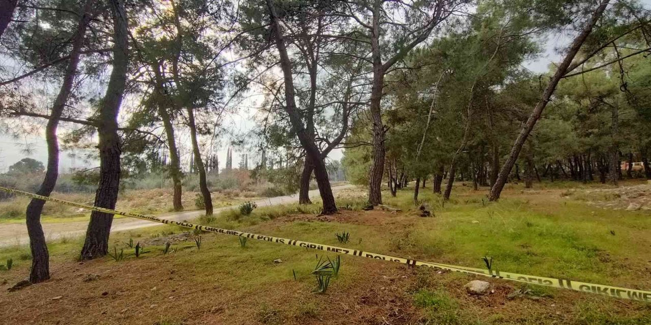 Kolları Ve Kafası Olmayan Ceset Gizemini Koruyor