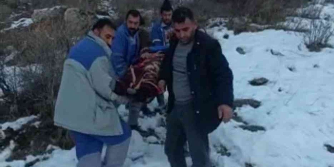 Kayalıklardan Aşağı Yuvarlanan Kaski Çalışanı Yaralandı