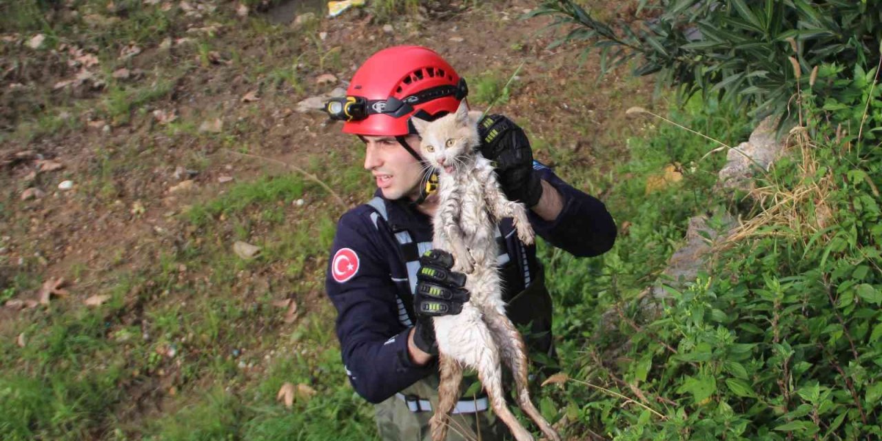 Derede Mahsur Kalan Kedi, İtfaiyeye Zor Anlar Yaşattı