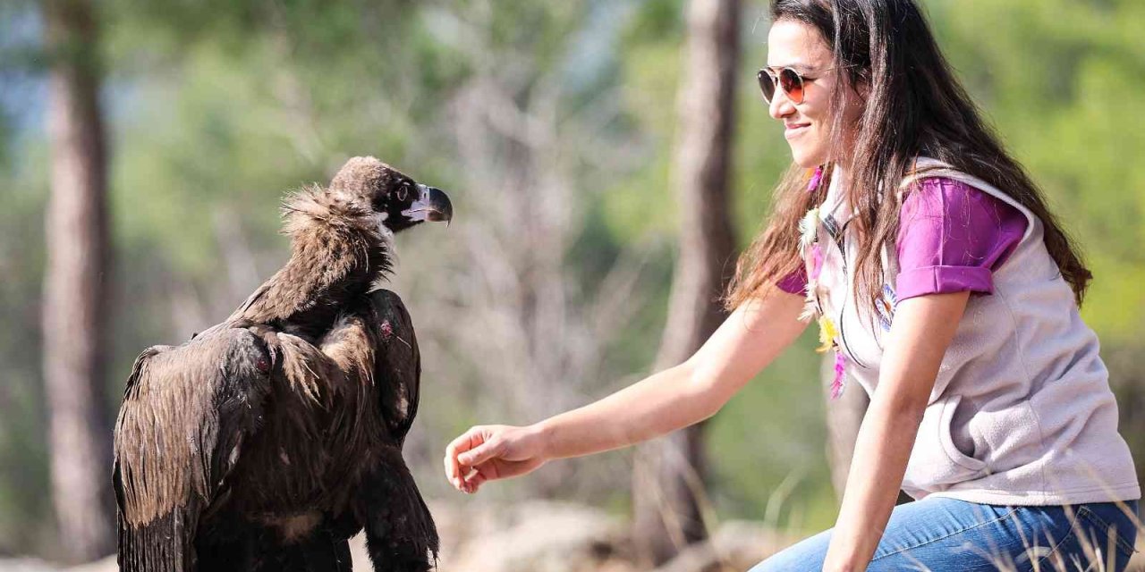 Antalya'da Tedavisi Tamamlanan Kara Akbaba Özgürlüğe Kanat Çırptı