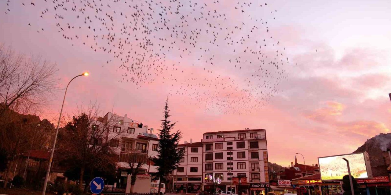 Tablo Gibi Gökyüzüne Sığırcık Sürüsünden Fırça Darbeleri