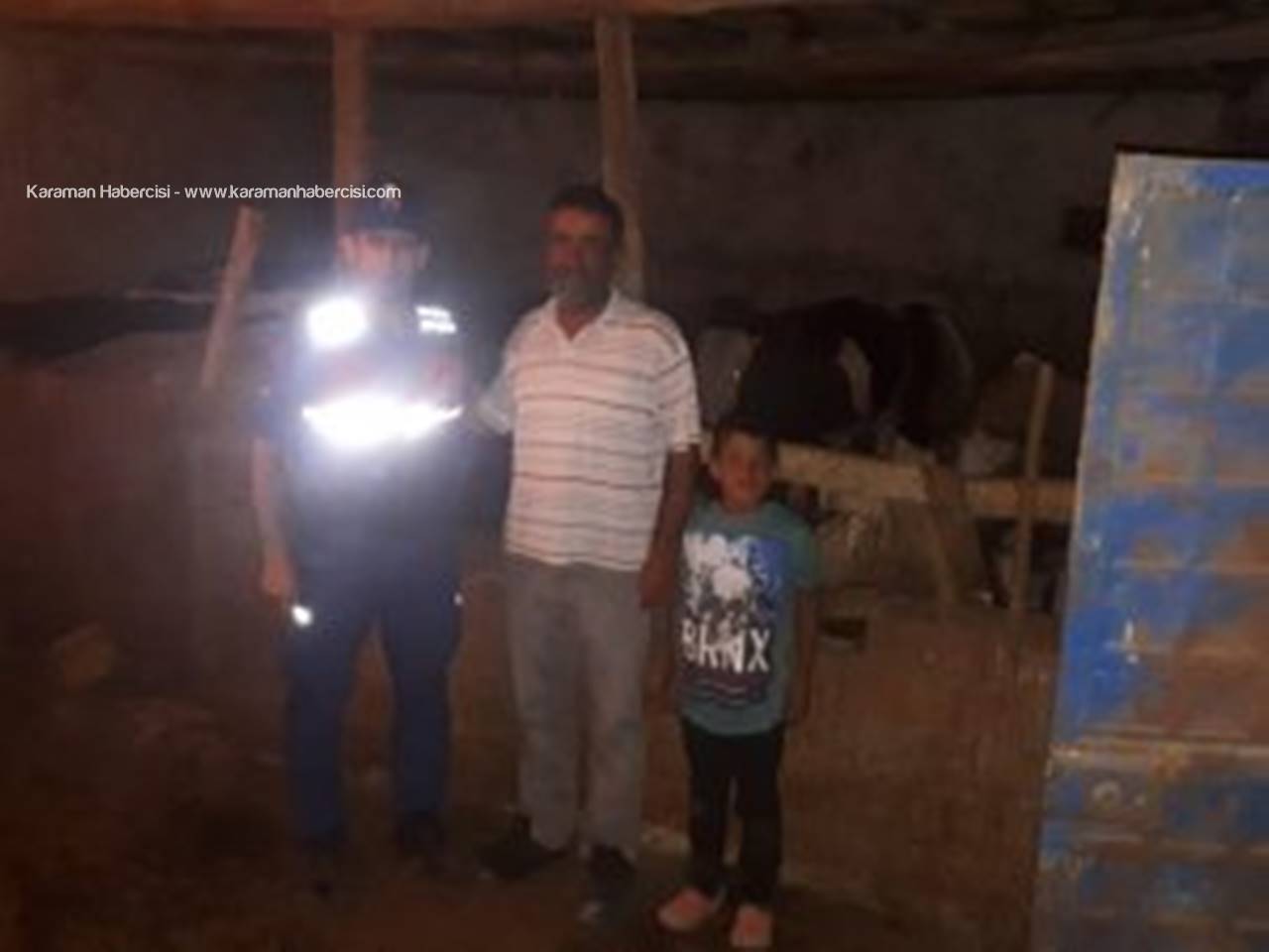 Çalındı Şüphesiyle Aranan Hayvanları Jandarma Dağda Buldu