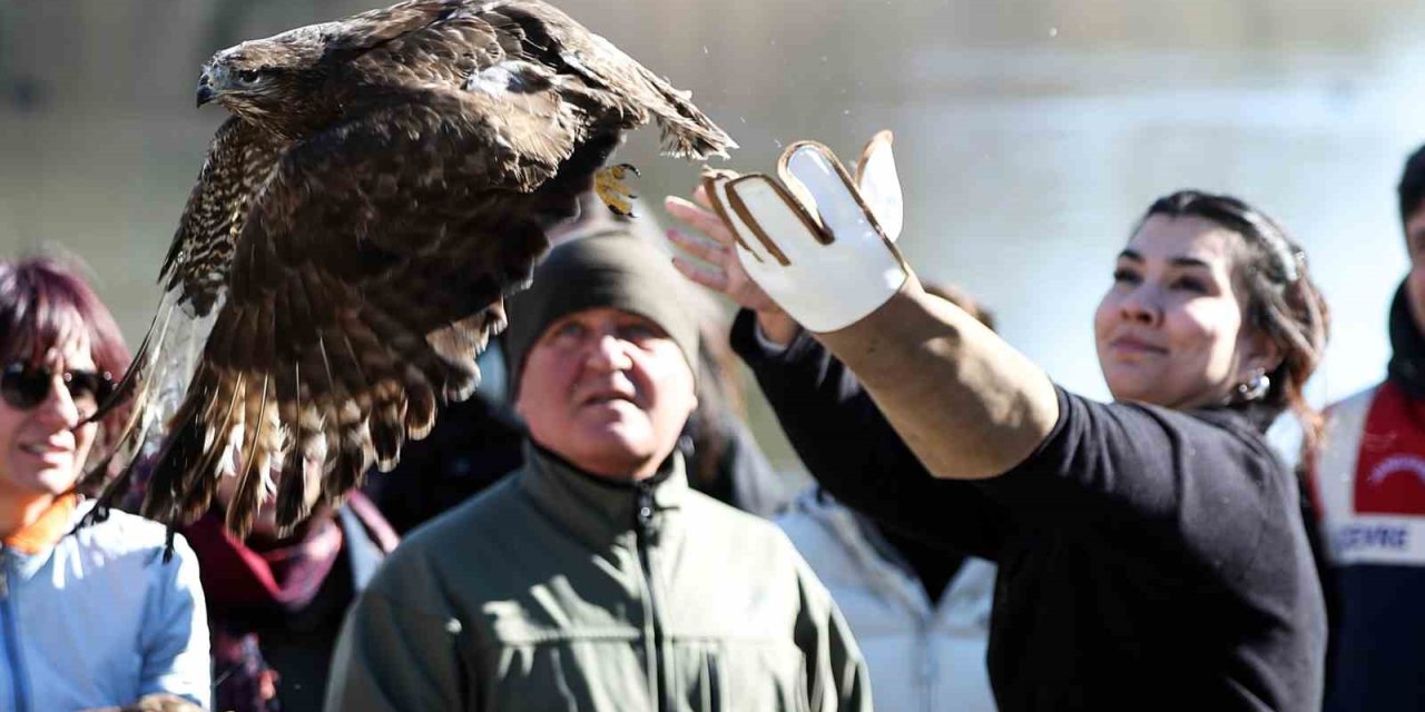 Antalya'da Dünya Sulak Alan Günü’nde İki Şahin Doğaya Bırakıldı