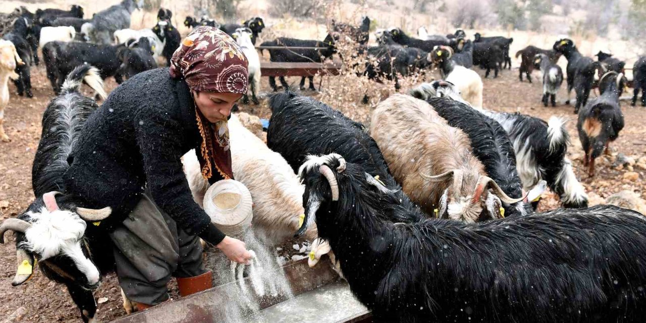 ’hadi Gel Köyümüze Destek Verelim’ Projesi İle Üretici Oldu
