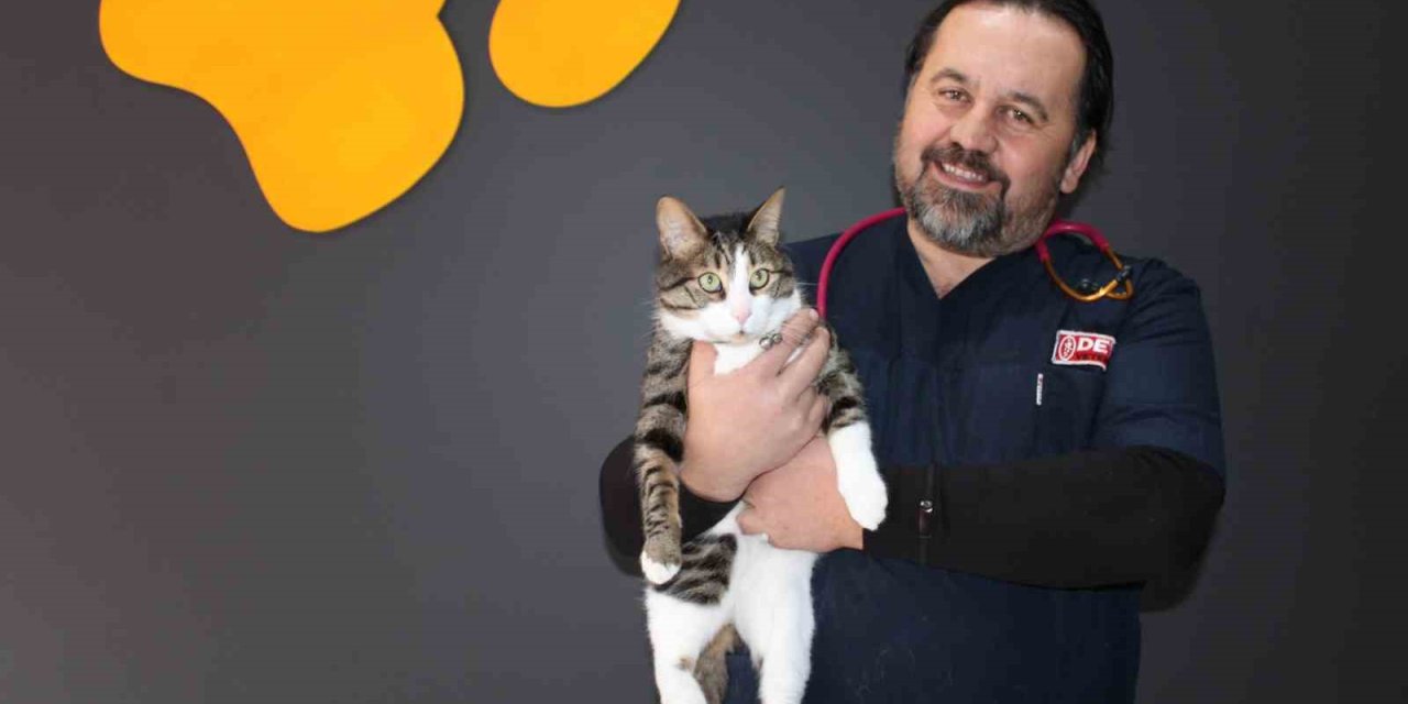 Kedi Ve Köpeklerin Depreme Hassasiyeti Can Ve Mal Kaybını Önlüyor