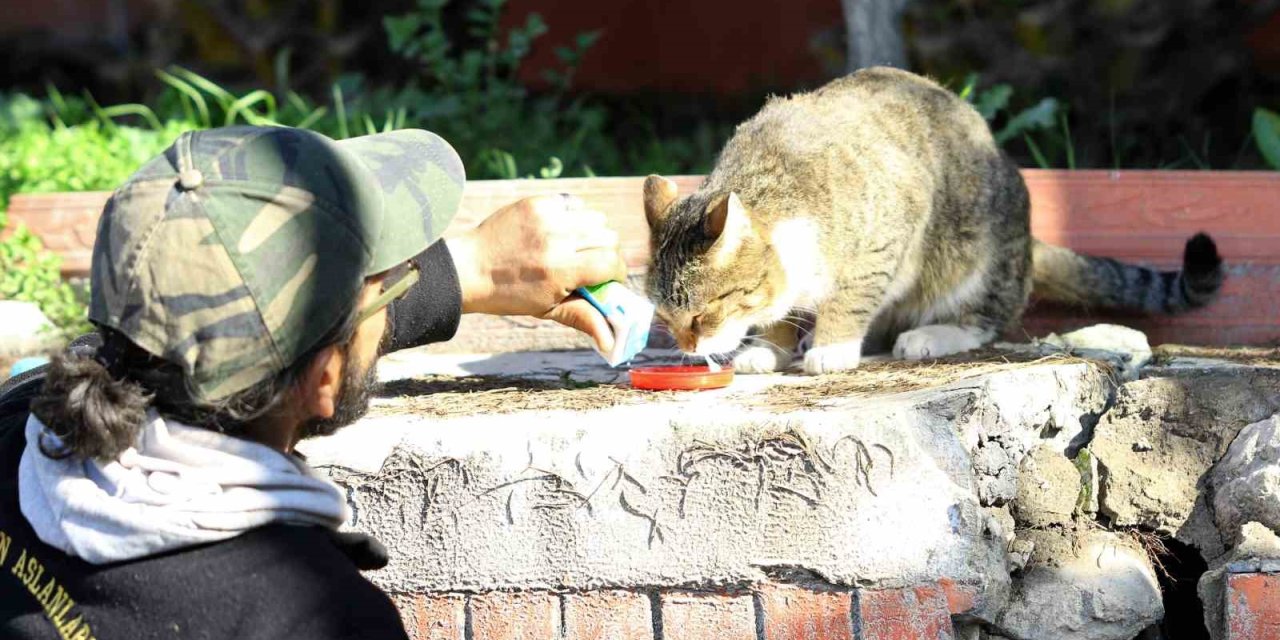 Hatay’da Bu Zor Günlerde Yürek Isıtan Kareler Objektiflere Yansıdı