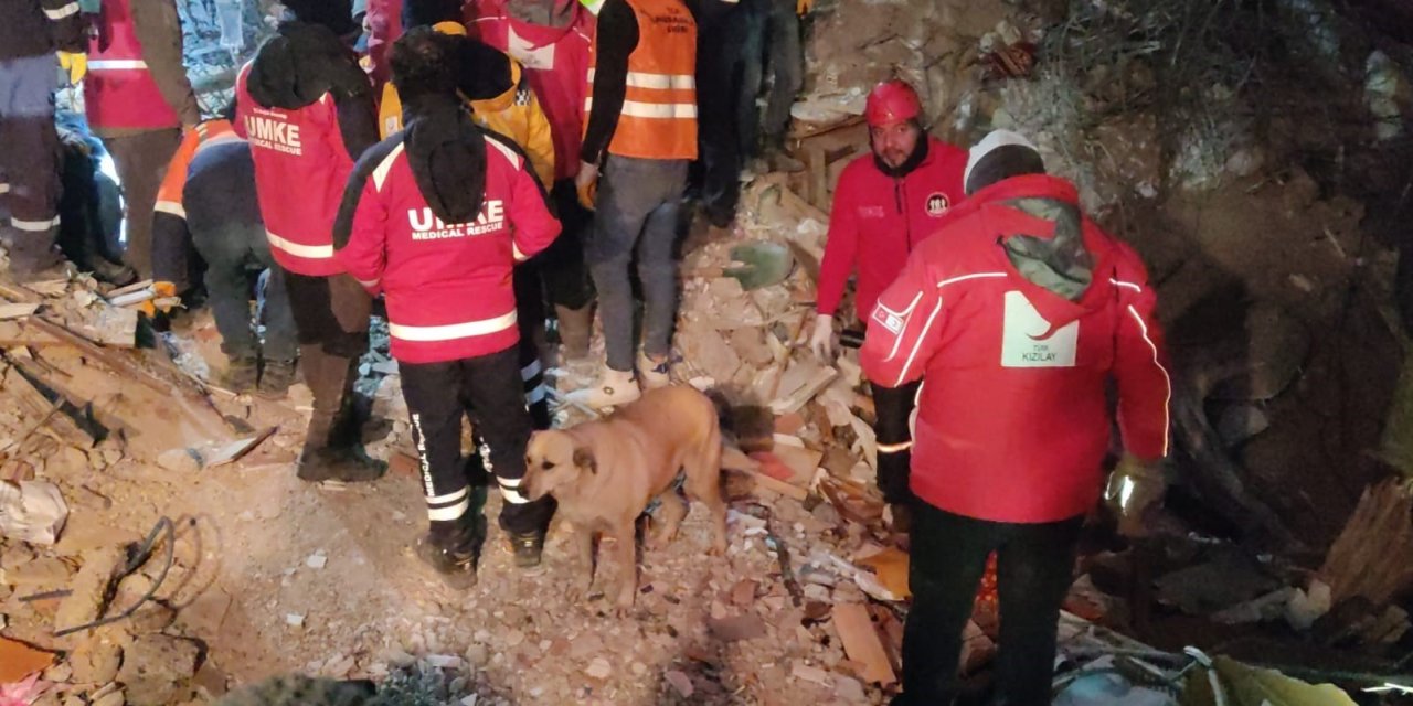 Deprem Bölgesindeki Köpek Kızılay Ekiplerinin Maskotu Oldu