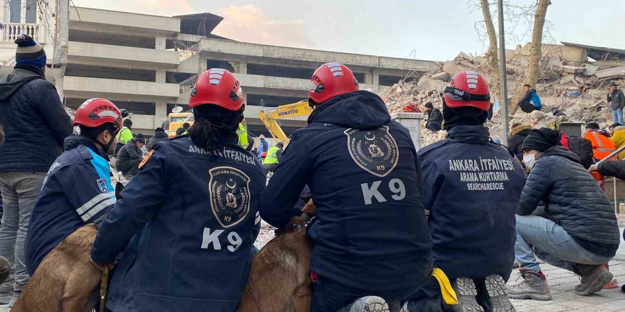 Ankara’nın Kahraman Patileri 28 Kişinin Hayatını Kurtardı