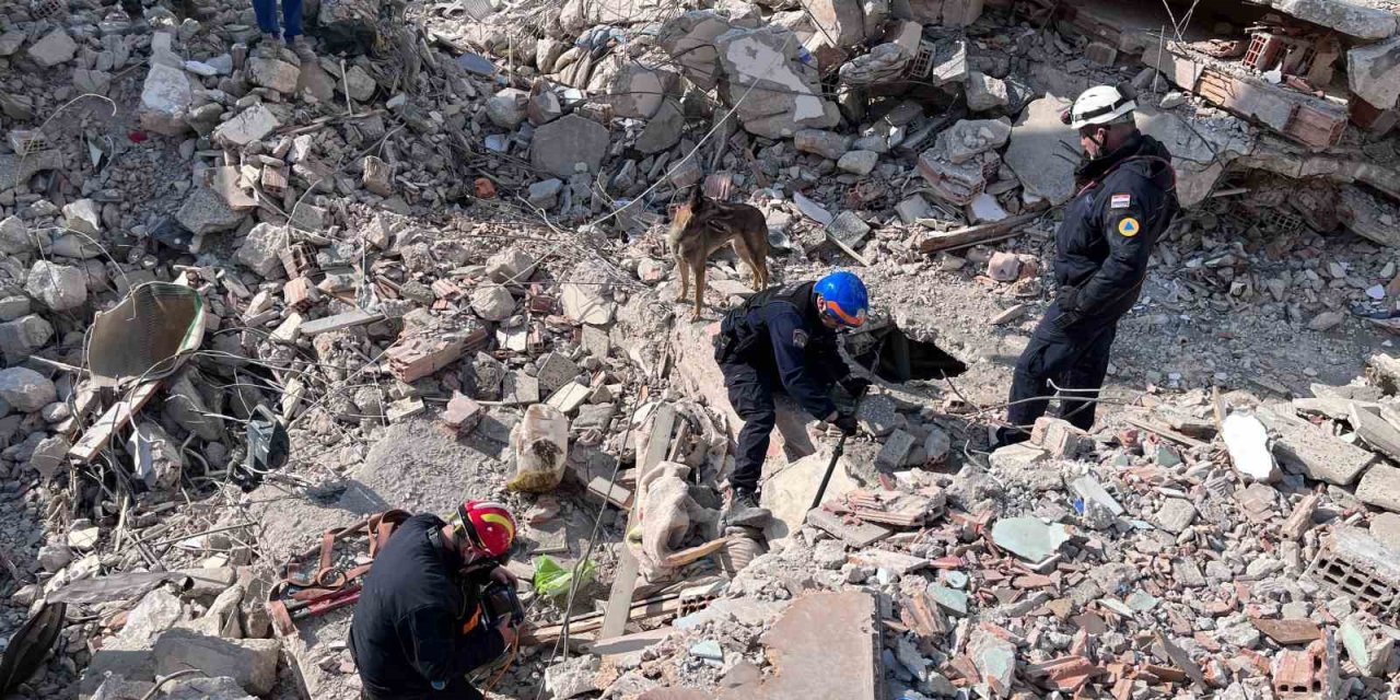 Hatay’da Eğitimli Köpekler Toprak Altında ‘can’ Aradı