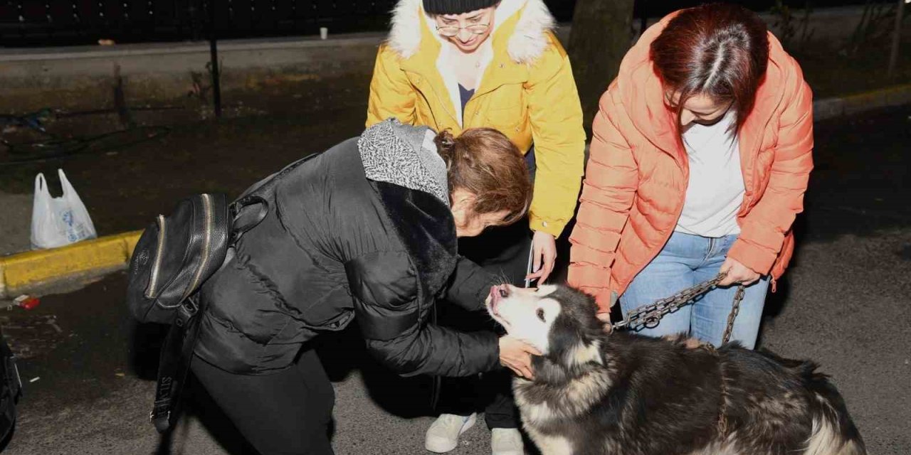 Depremzede Köpek Bella İstanbul’da Yeni Ailesine Kavuştu