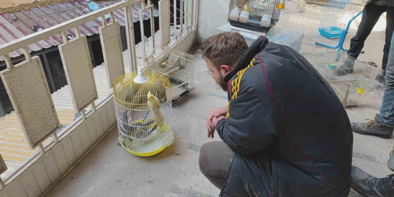 Depremde Petshopta Mahsur Kalan Kuşlar Kurtarıldı