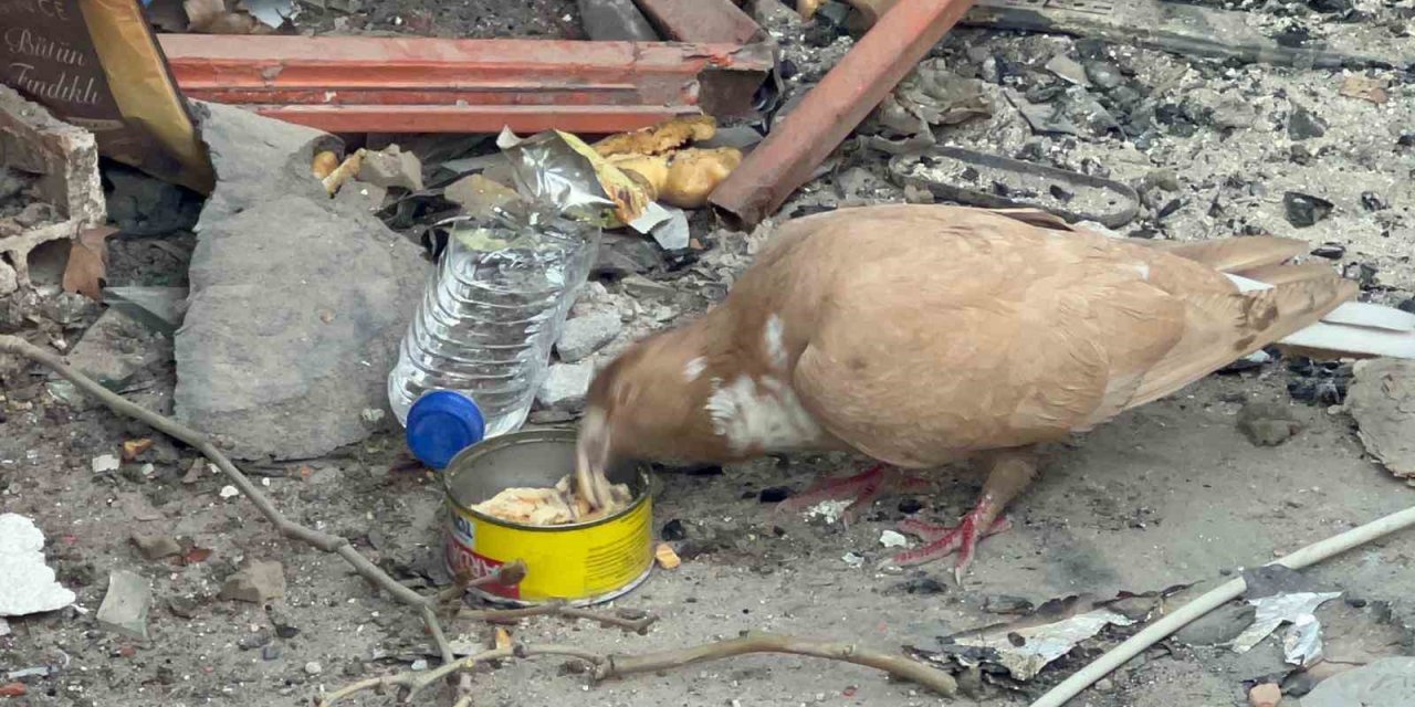 Deprem Bölgesi Hatay’da Türk Askerinin Şefkati Yürekleri Isıttı
