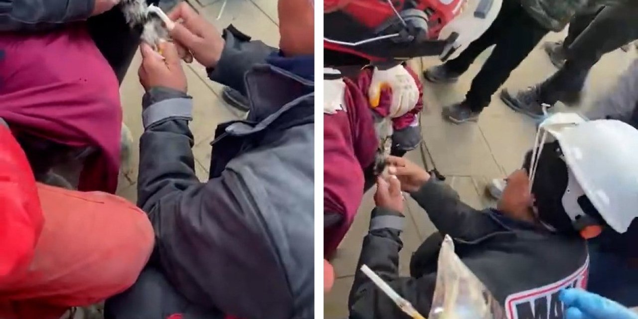 10 Katlı Binanın Enkazından Kurtarılan Kediye Serum Taktılar