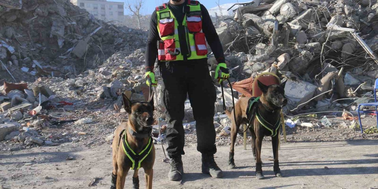 Kahraman Köpekler: Asko Ve Pia, 5 Günde 10 Kişiye Ulaştı