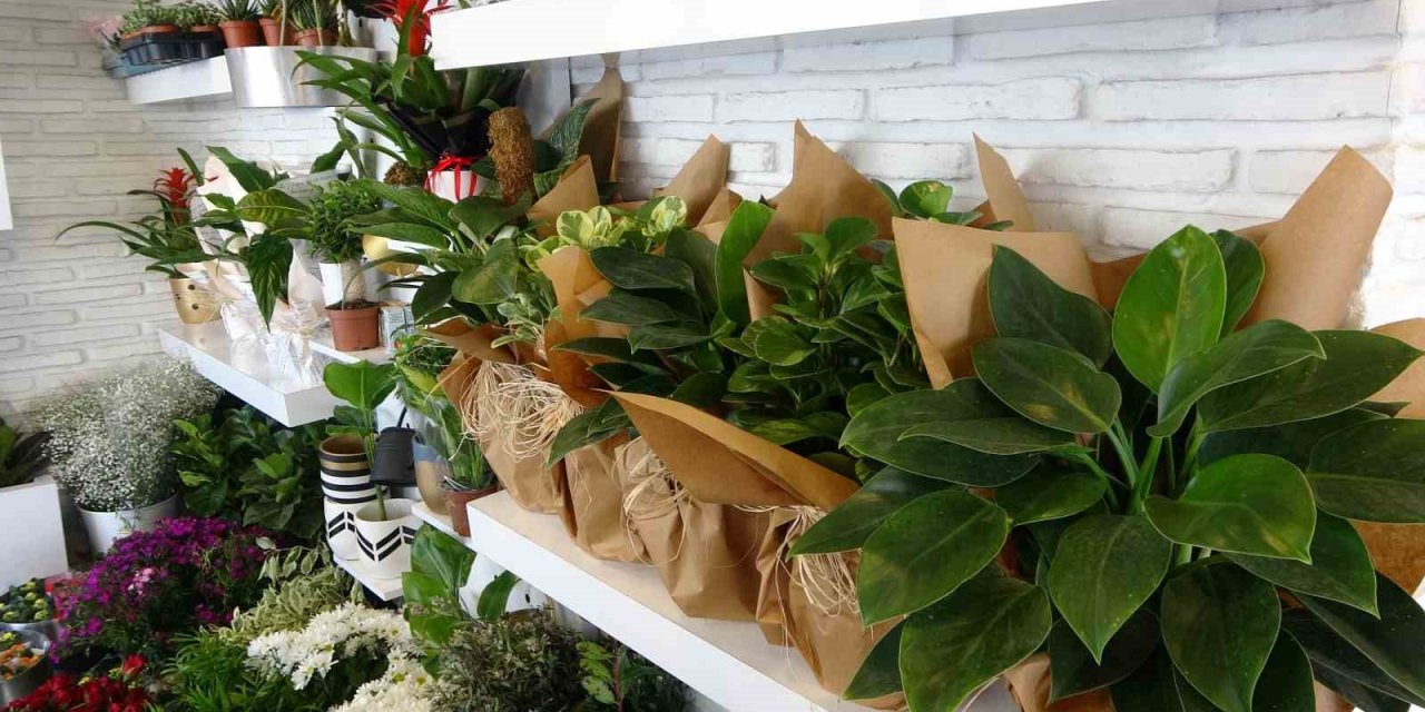 14 Şubat’ın Gelirini Depremzedelere Hediye Etti