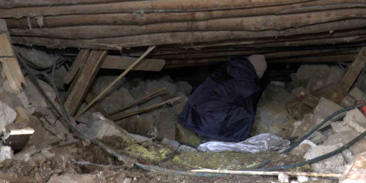 Sürünerek Girip Enkazın Altındaki İneğini Besliyor